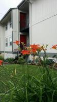 featured image of 1171 16th Ave S