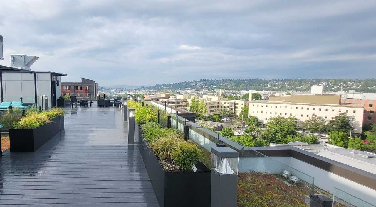 Our Newest Luxury Studios in Ballard! - Photo 2 of 50