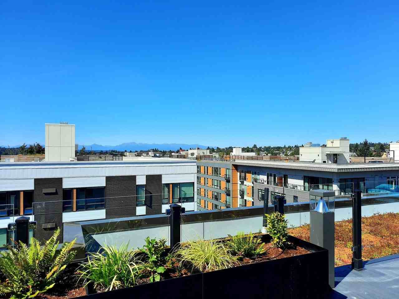 Our Newest Luxury Studios in Ballard! - Photo 7 of 50