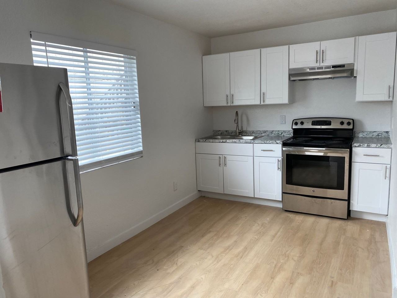 Melvin - Photo 2 of 12