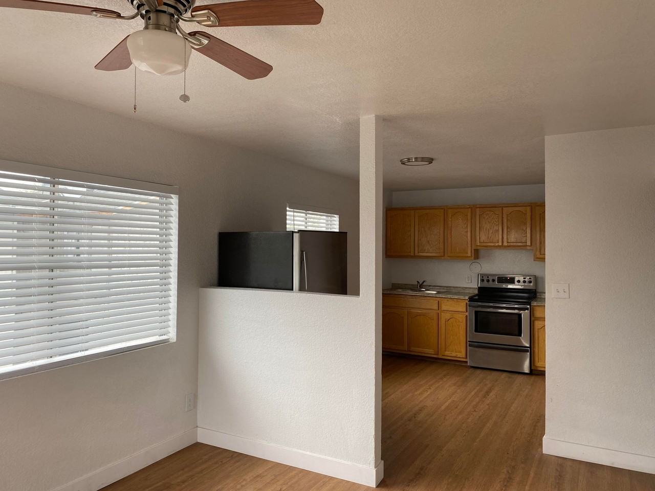 Melvin - Photo 6 of 12