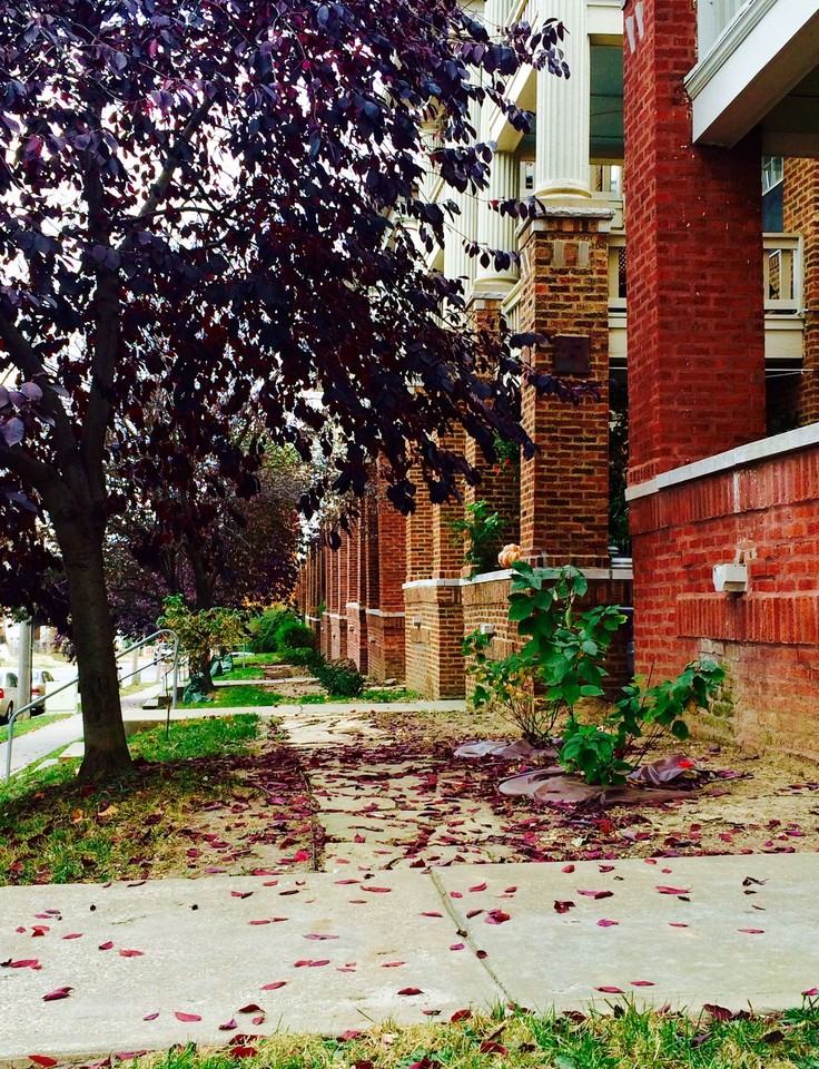 Garden Apartments - Photo 3 of 15