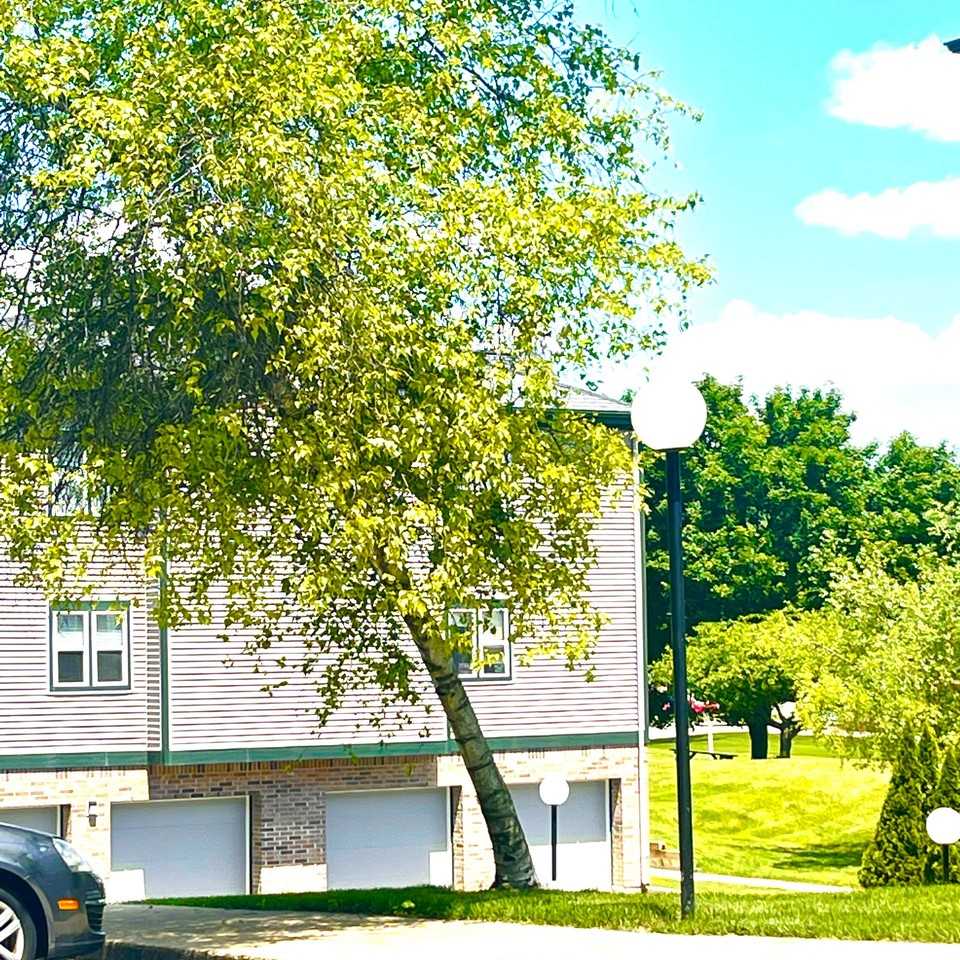 The Terrace at Cedar Glen - Photo 2 of 25