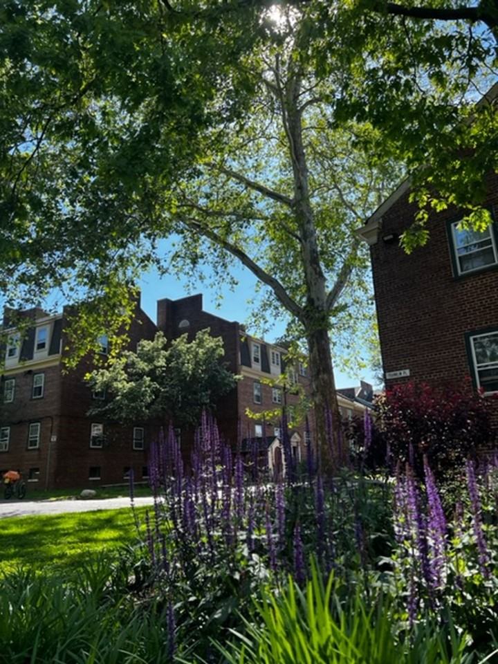 LWCA NY - Photo 4 of 50