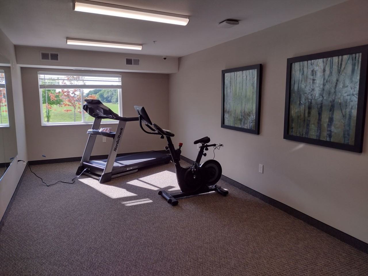 Timberfield Apartments 3 - Photo 6 of 18