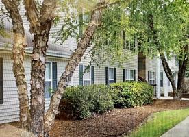 featured image of 420 Acorn Grove Ln