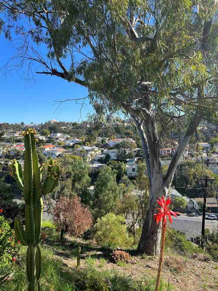 2810 Union - Photo 2 of 10