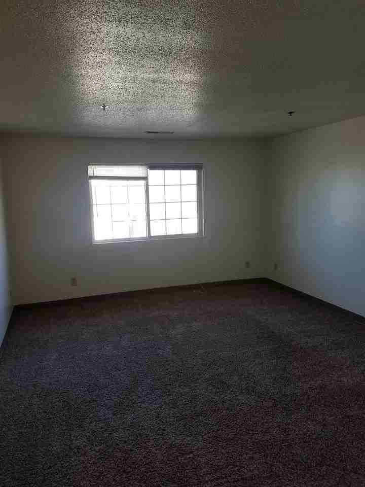 Lillienthal - Photo 3 of 12