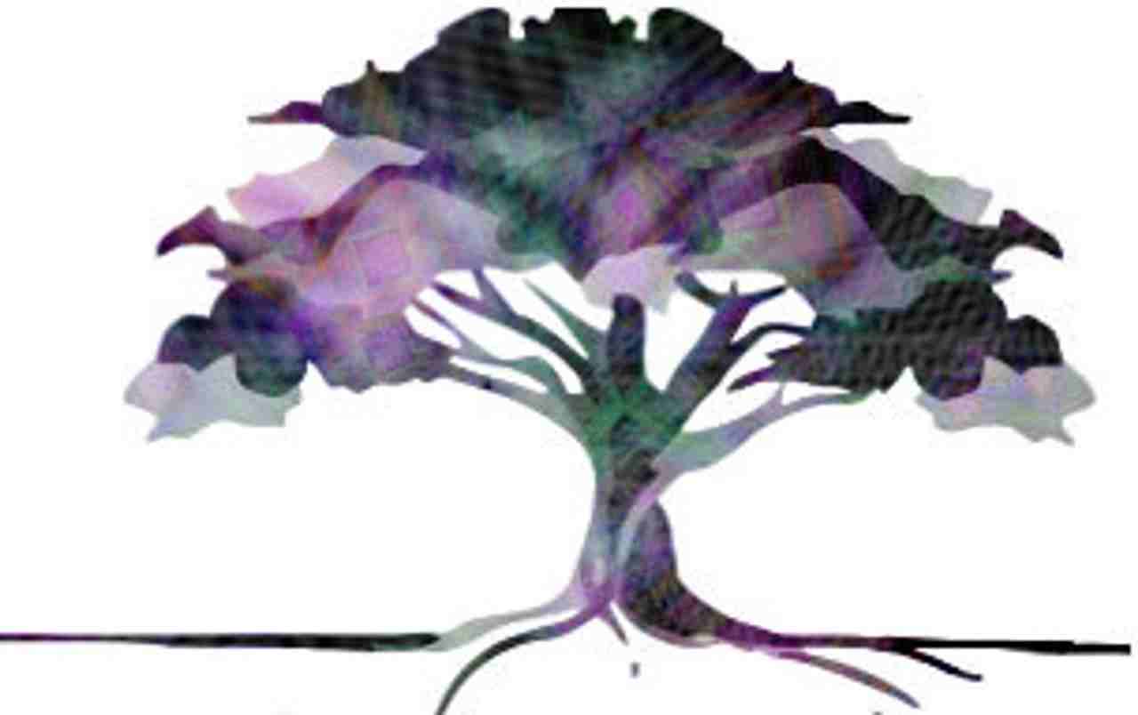 Stewart Street LLC - Photo 3 of 4