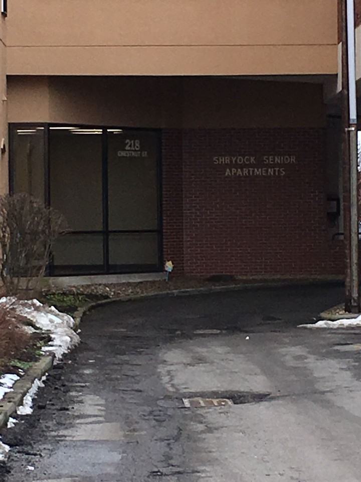 Shryock - Photo 5 of 7