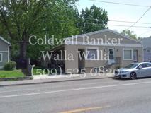 Pet503 - Photo 1 of 1