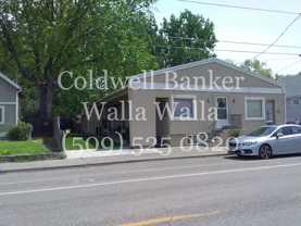 Pet503 - Photo 1 of 1