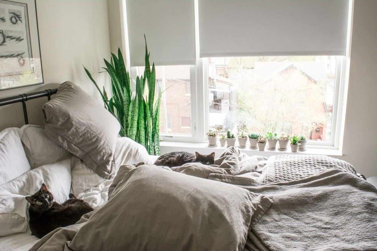 Avante Apartments - Photo 7 of 8