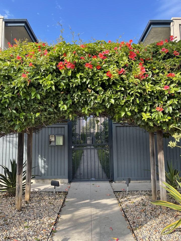 bun183 - Photo 2 of 3