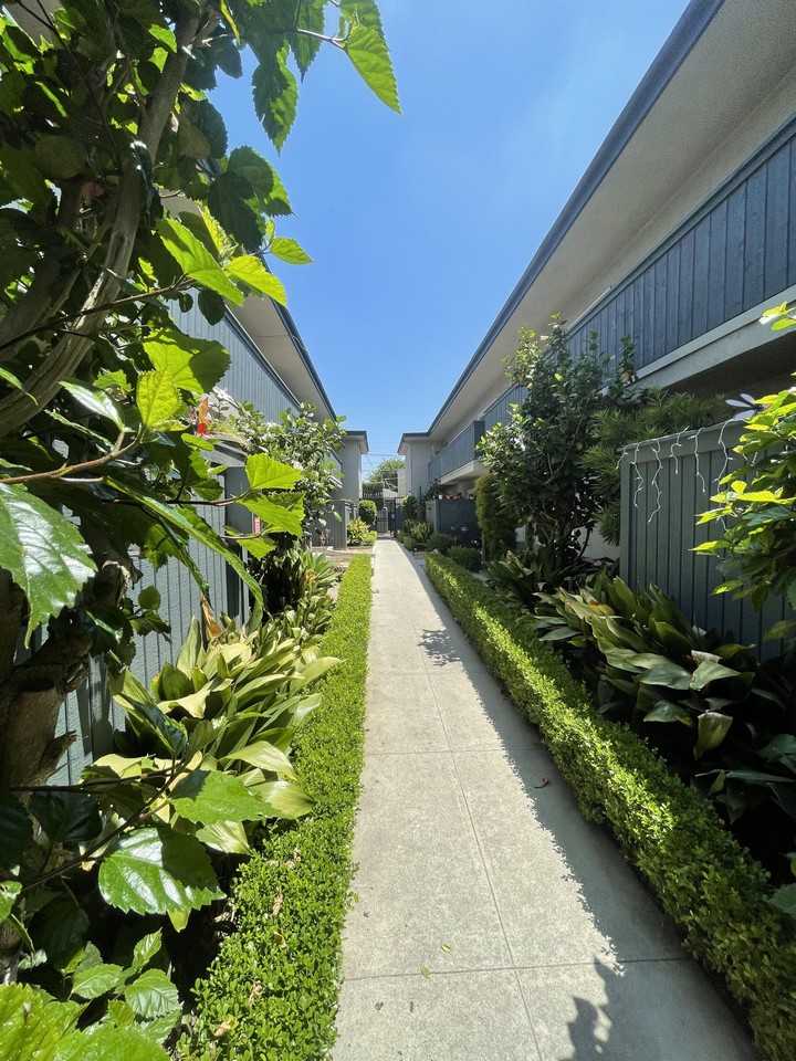 bun183 - Photo 3 of 3