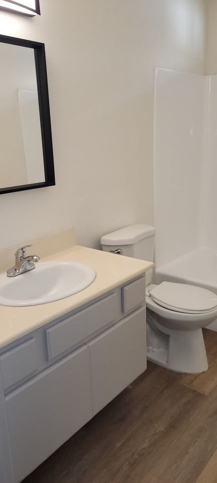 Newly Remodeled 2 bed 2 bath at Pinecrest Apartments - Photo 3 of 6