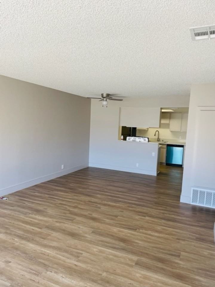 Newly Remodeled 2 bed 2 bath at Pinecrest Apartments - Photo 6 of 6
