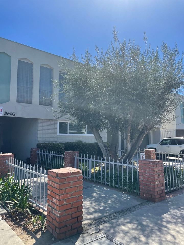 LUXURY LIVING AT AN AFFORDABLE PRICE - Photo 5 of 8