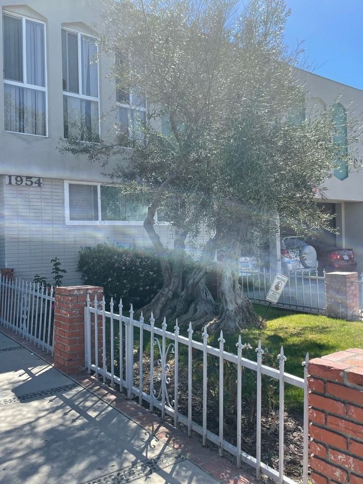 LUXURY LIVING AT AN AFFORDABLE PRICE - Photo 6 of 8