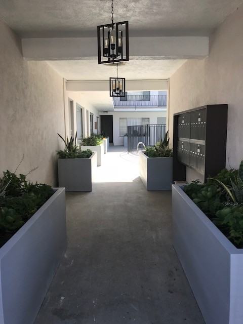 wes161 - Photo 4 of 32