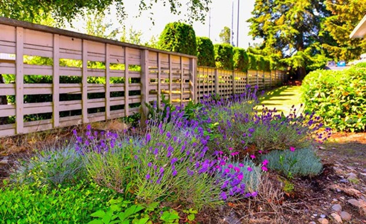 Sequoia Grove Apartments - Photo 3 of 4