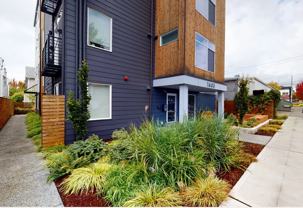 Contemporary Studios in Desirable Ballard Neighborhood! - Photo 1 of 1