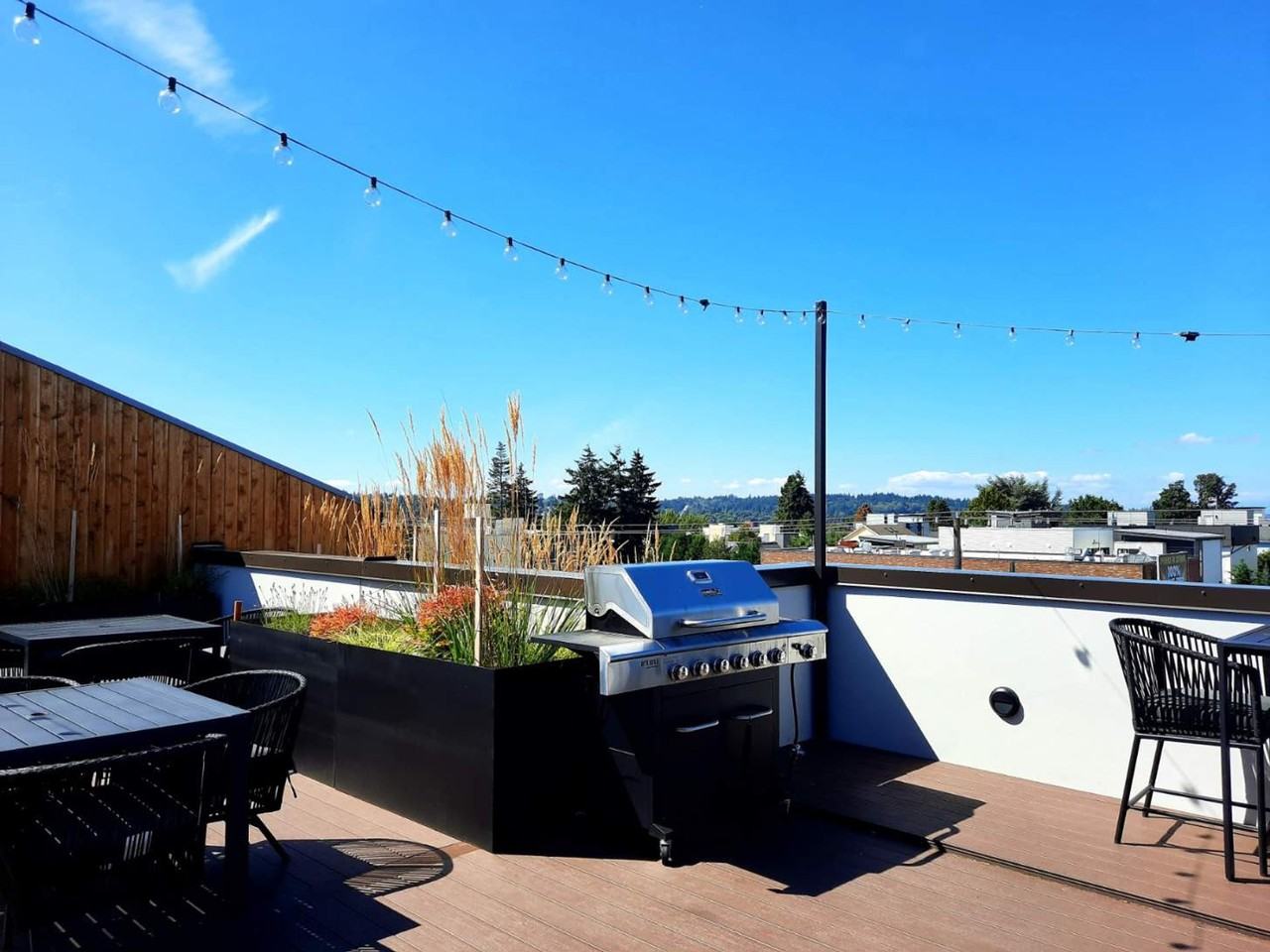 Contemporary Studios in Desirable Ballard Neighborhood! - Photo 6 of 41