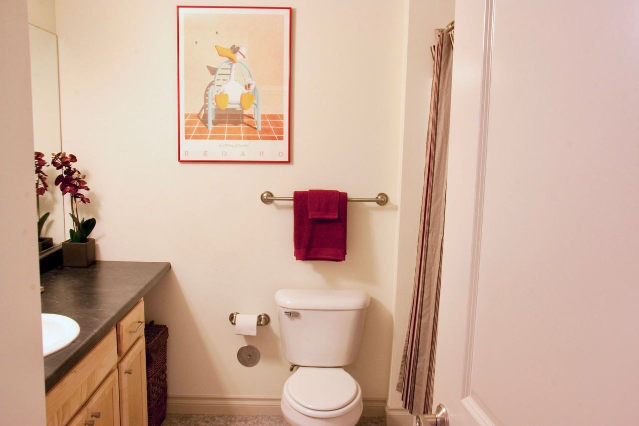 Get in the thick of it! - Photo 7 of 8