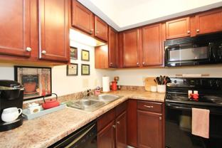 900 The Reserve at Merrick - Photo 1 of 1