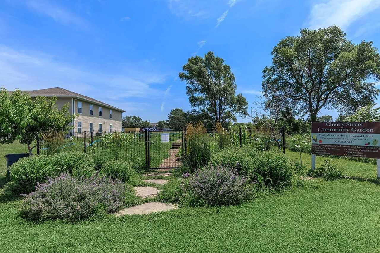 Cherry Park - Photo 5 of 15