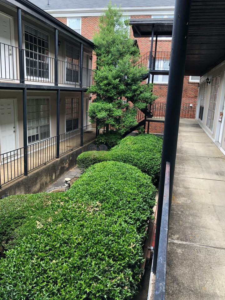 {chill} - Photo 4 of 6