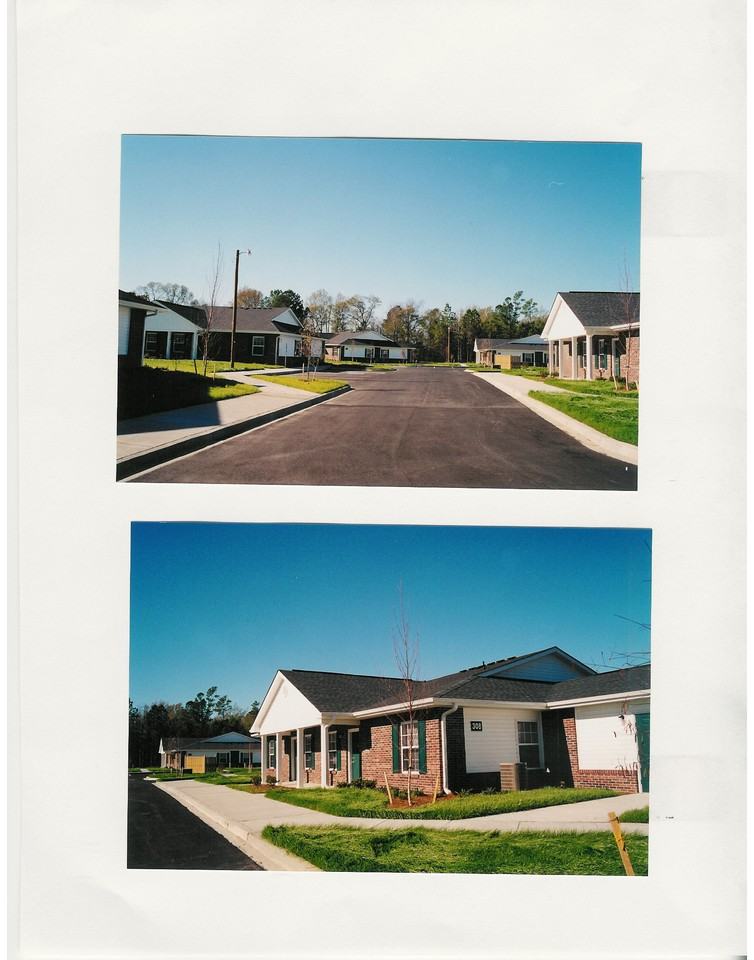 Palmetto Frond - Photo 3 of 8