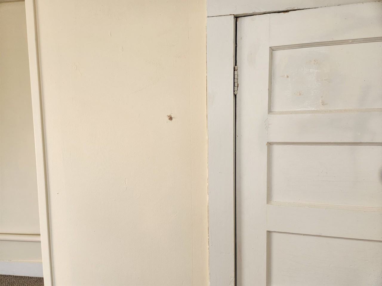 hl65 - Photo 6 of 26