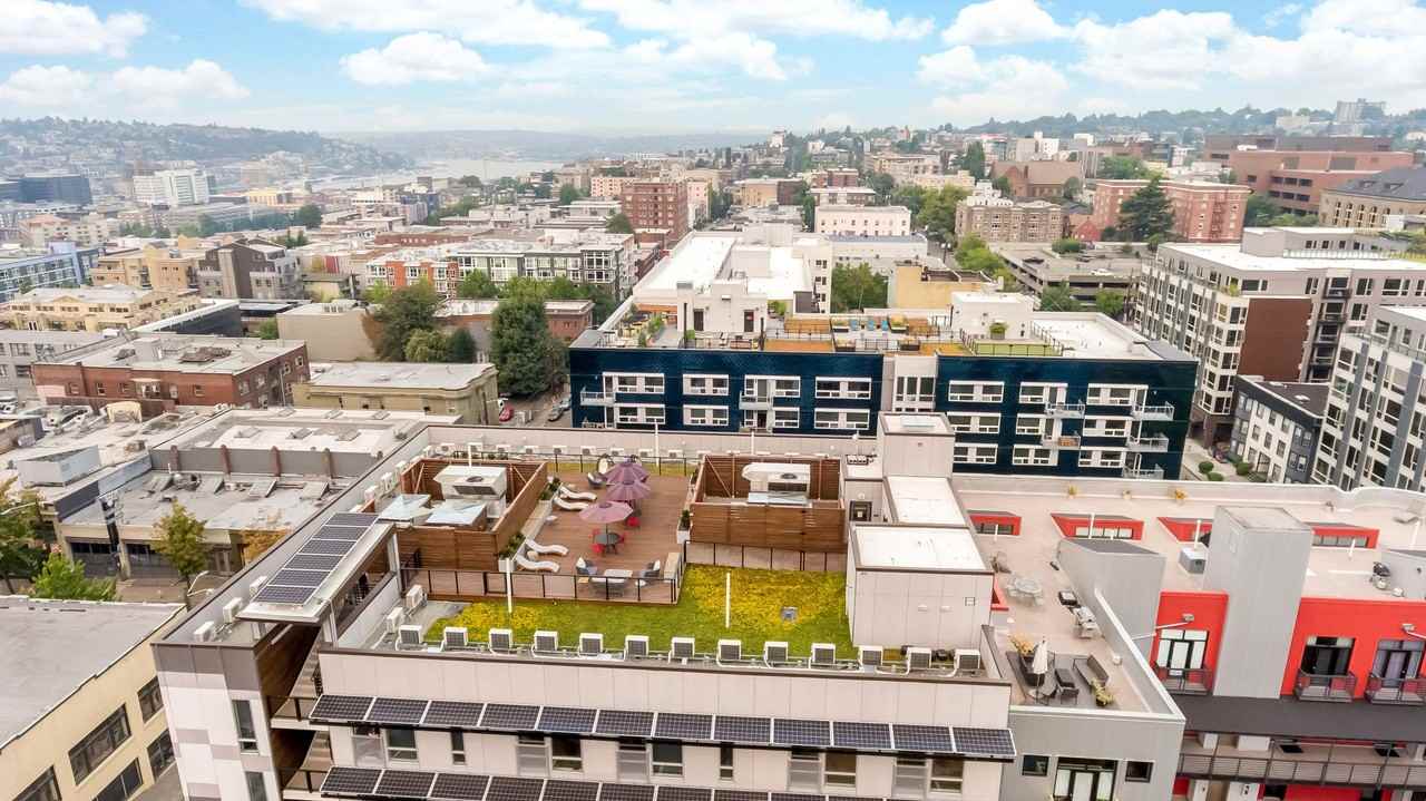 The Cove - Photo 2 of 50