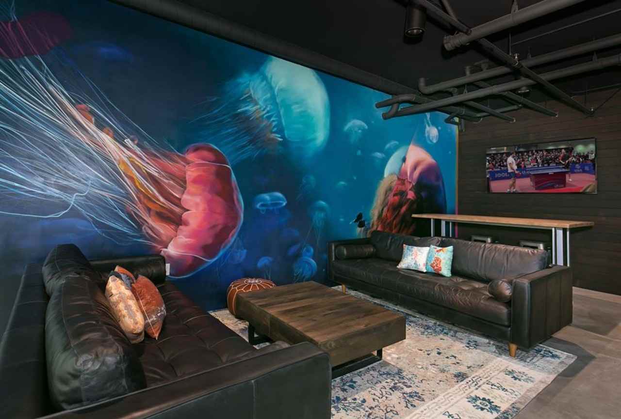 The Cove - Photo 4 of 50