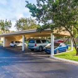 Club Caribe Apartments SPRING SPECIAL - Photo 3 of 26