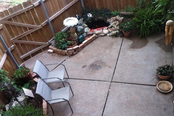 2600 Ivanhoe Ln - Photo 5 of 8