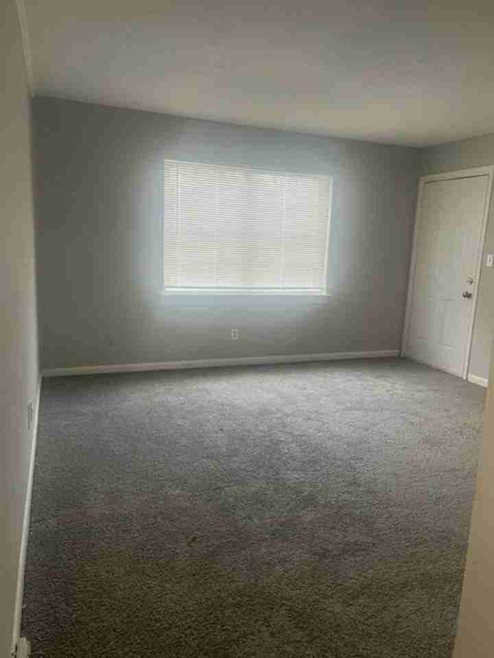 BOLDEN PINES - Photo 3 of 10