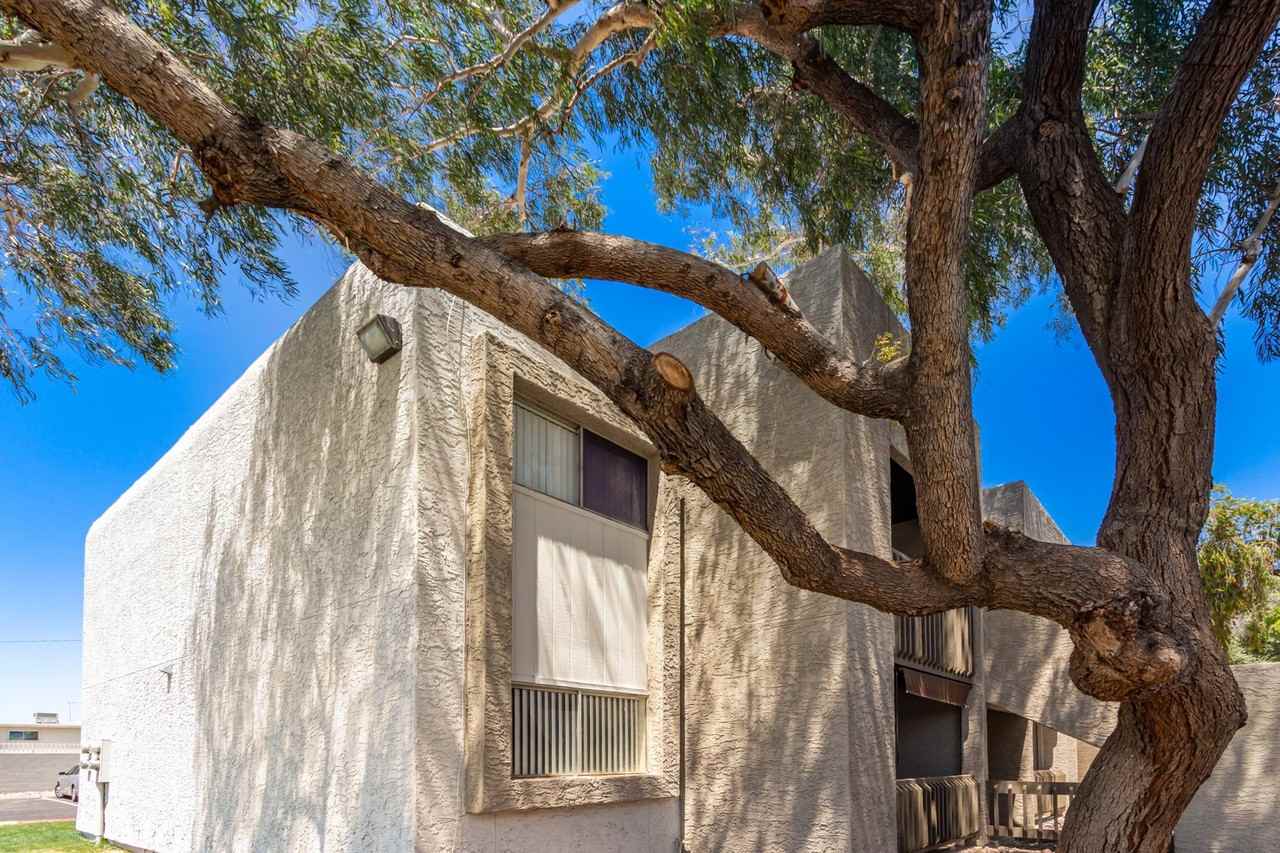 The Pacifica - Photo 4 of 5