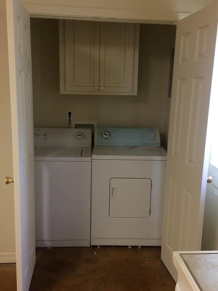 Mossy Pond #2 - Photo 2 of 17