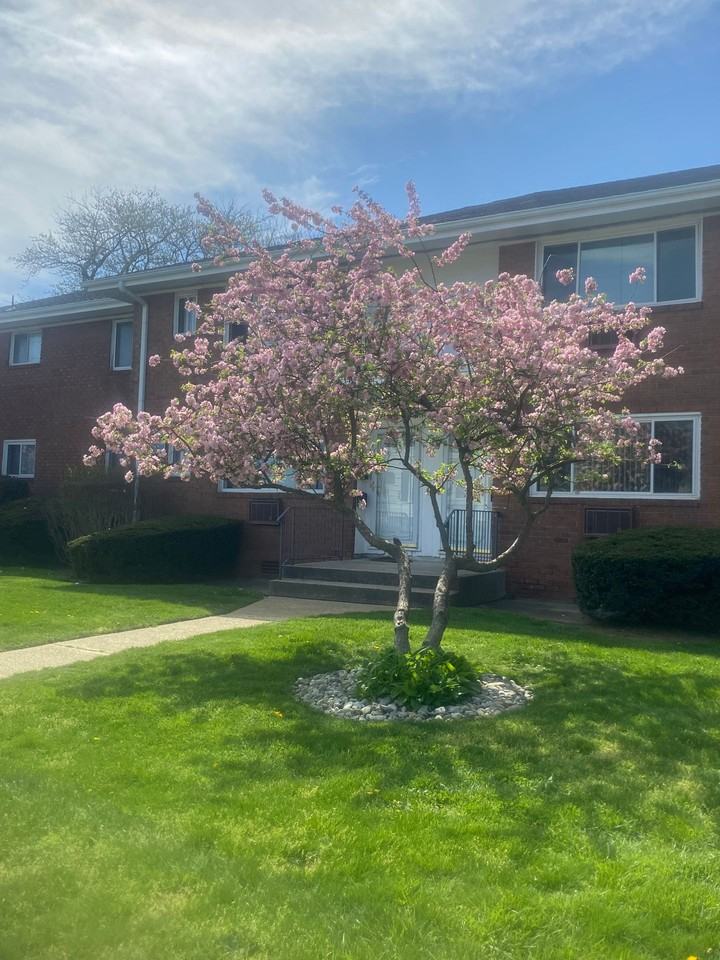 87 Cottage Place - Photo 2 of 18