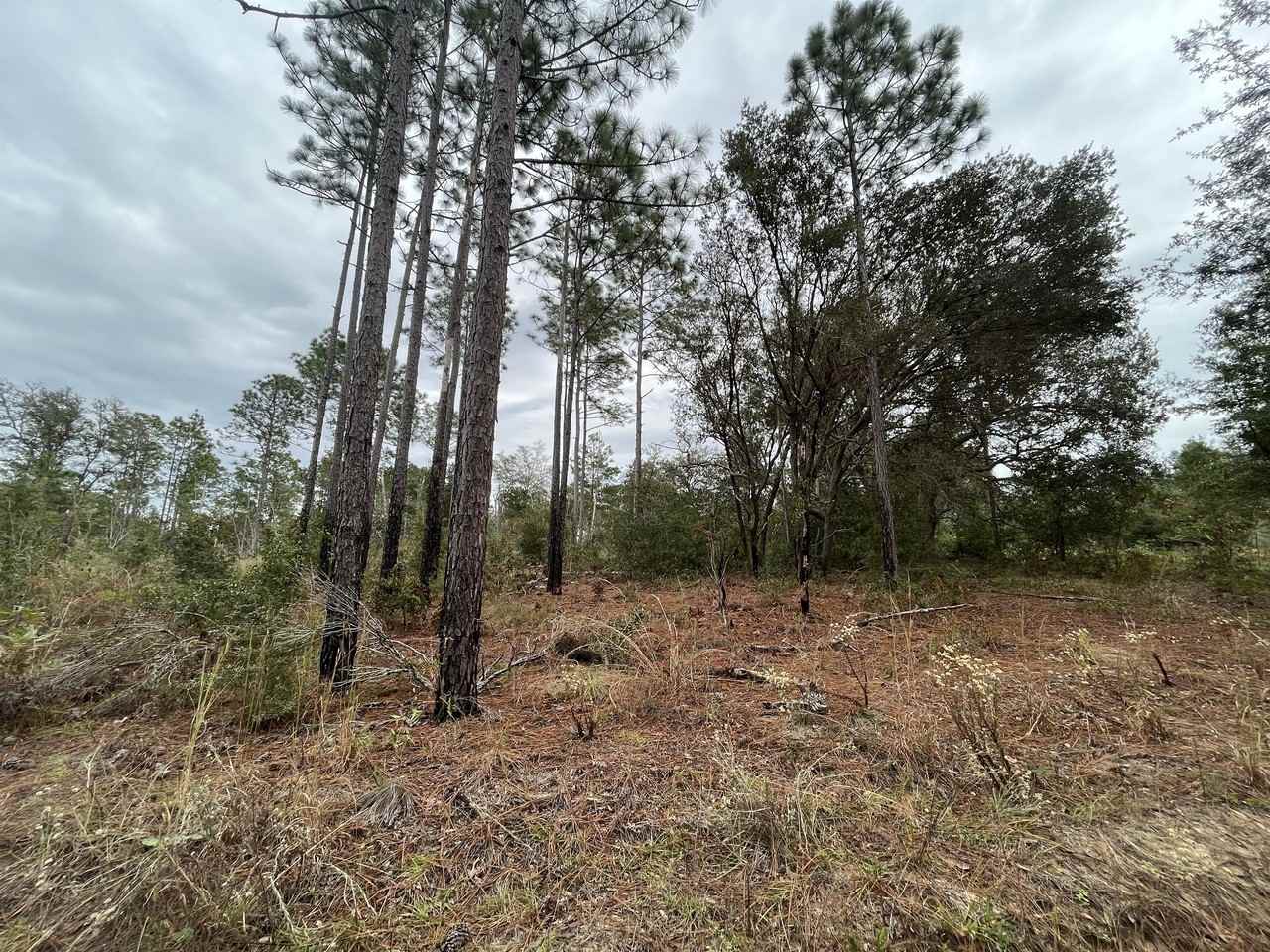 Rose St #1 - Photo 2 of 4