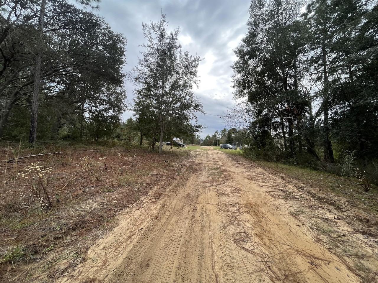 Rose St #1 - Photo 3 of 4