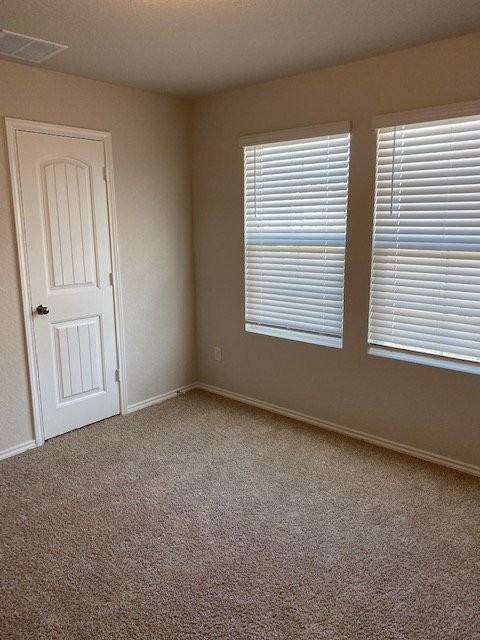 868 Margay Loop - Photo 3 of 21