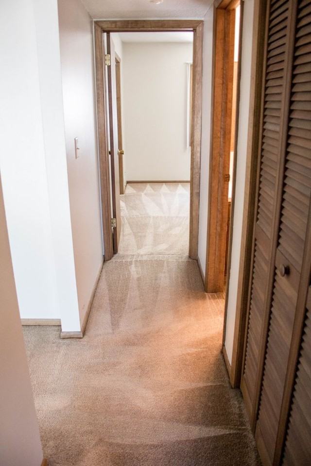 Canterbury-8 Apts. - Photo 7 of 18