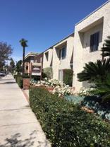 Collins Hacienda Apartments - Photo 1 of 1