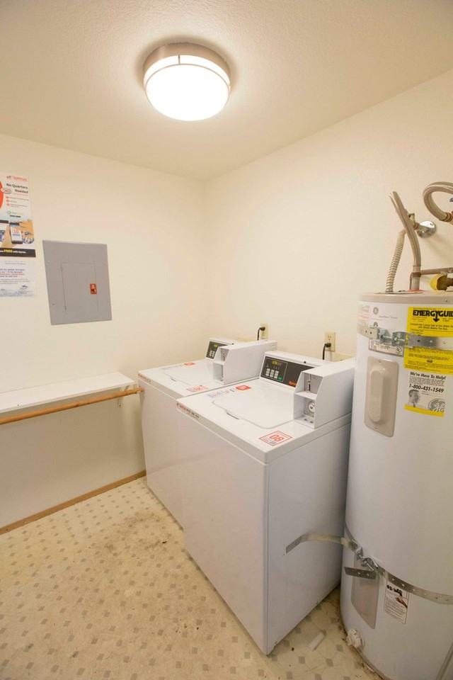 Whitman the North Seattle gem!! - Photo 7 of 9