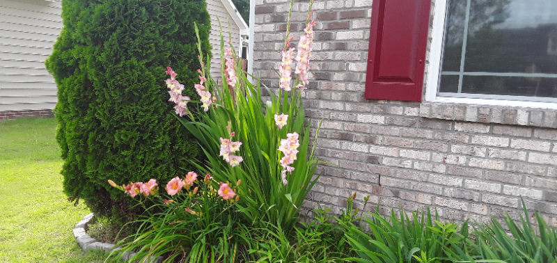 5833 Kindley Dr - Photo 3 of 26