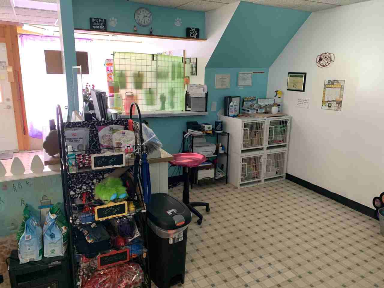 104 S 5th St - Photo 3 of 13