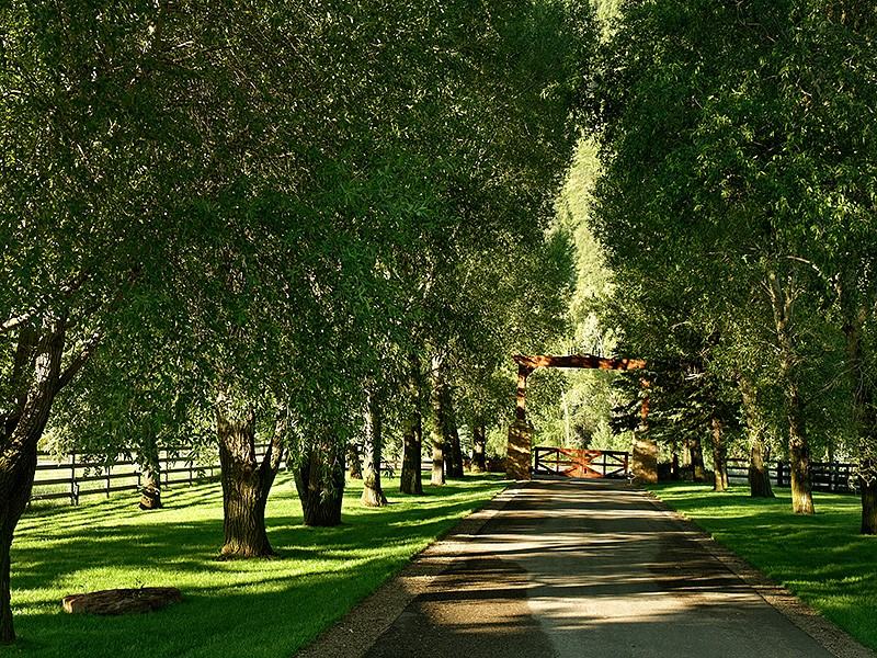 1621 Lower River Rd - Photo 2 of 22